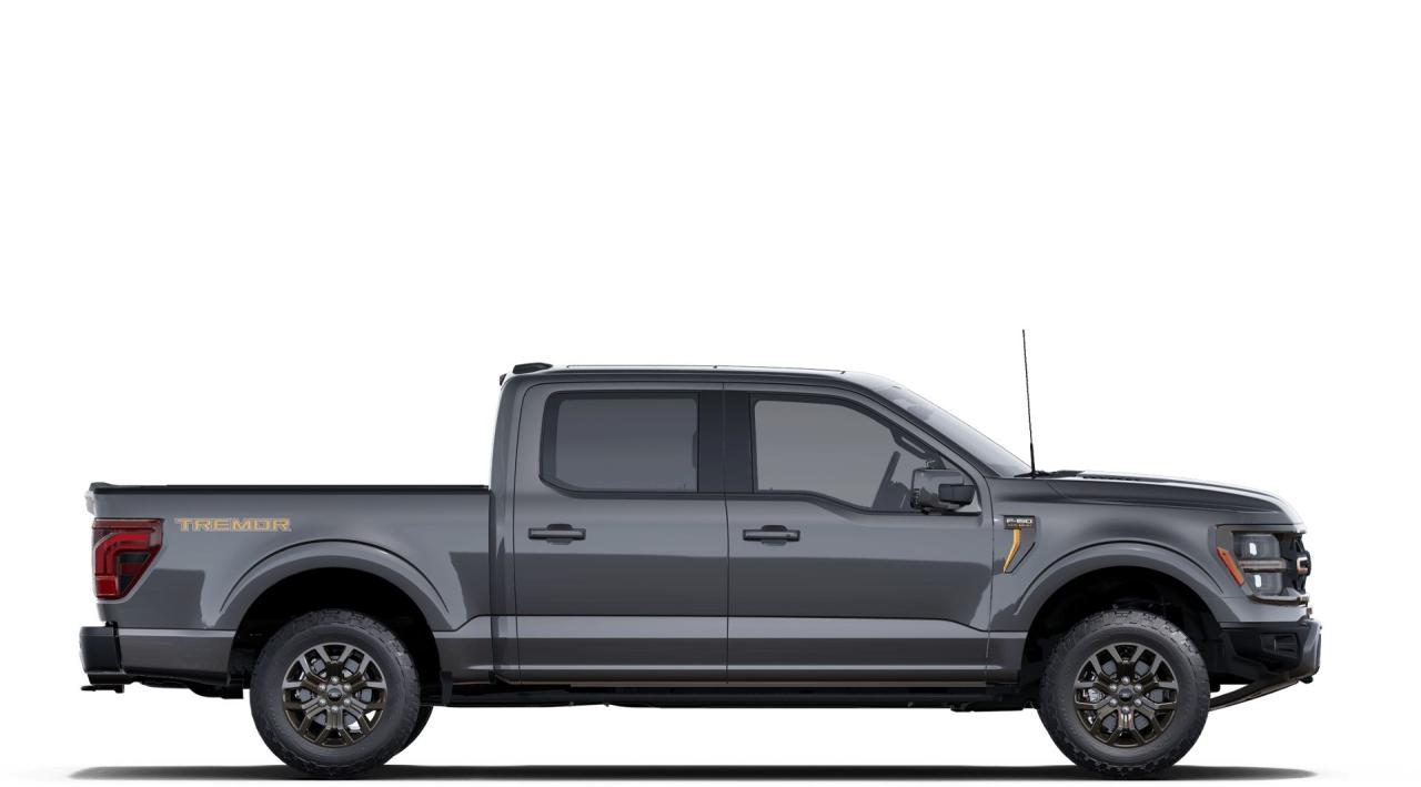 2025 Ford F-150 Tremor Photo4