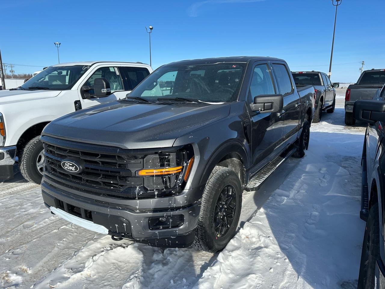 New 2025 Ford F-150 XLT 4WD SuperCrew 5.5' Box 301A for sale in Elie, MB