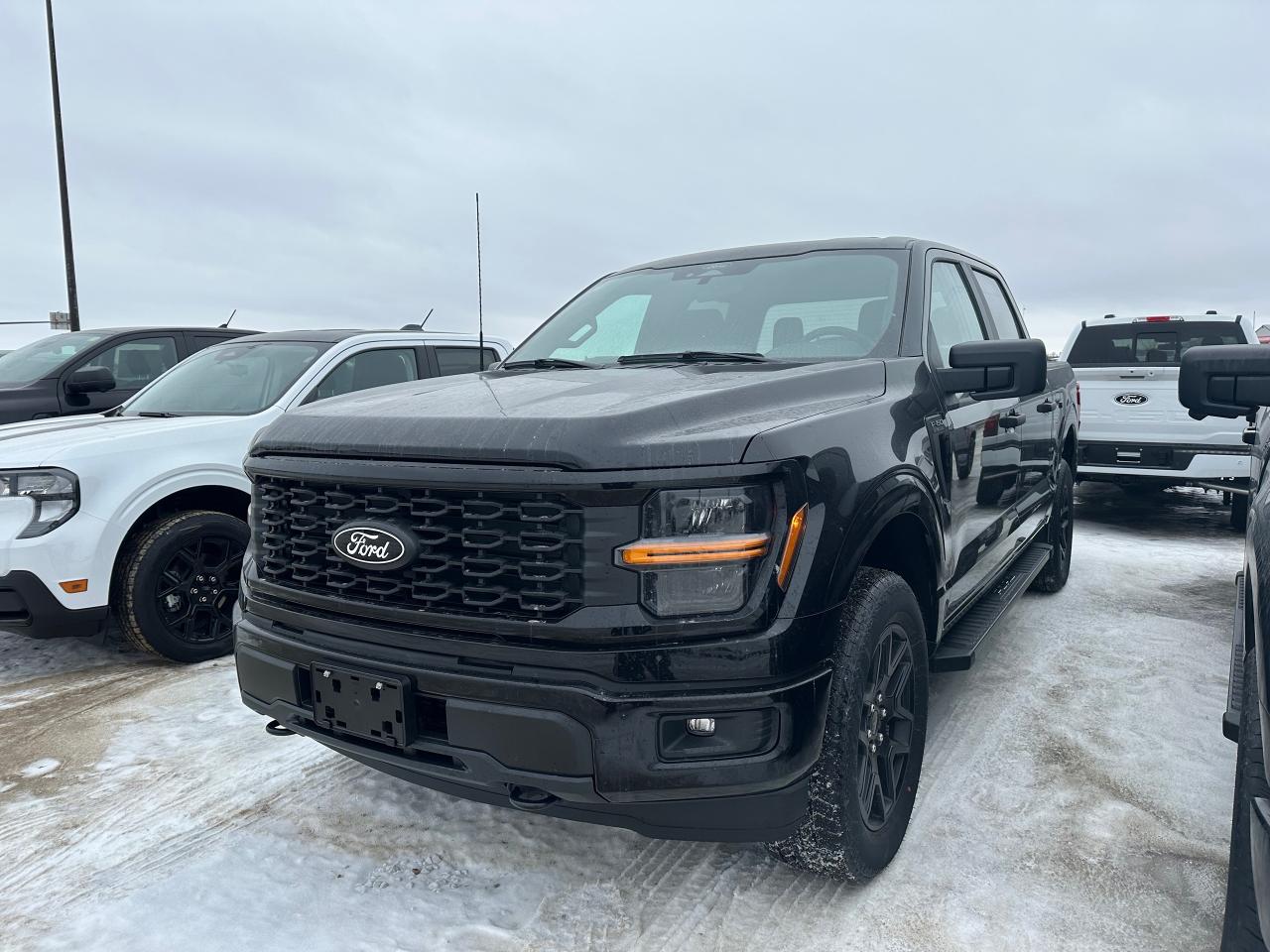 New 2025 Ford F-150 STX 4WD SuperCrew 5.5' Box 200A for sale in Elie, MB