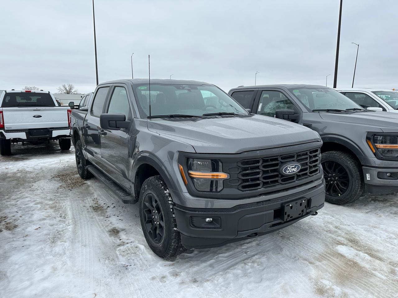 New 2025 Ford F-150 STX 4WD SuperCrew 5.5' Box 201A for sale in Elie, MB