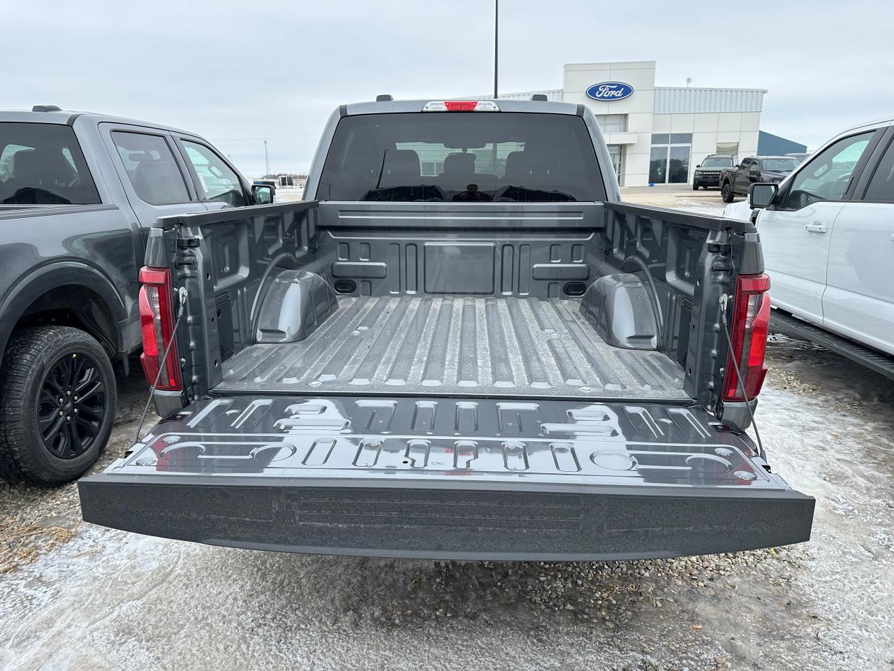 2025 Ford F-150 STX 4WD SuperCrew 5.5' Box 201A Photo