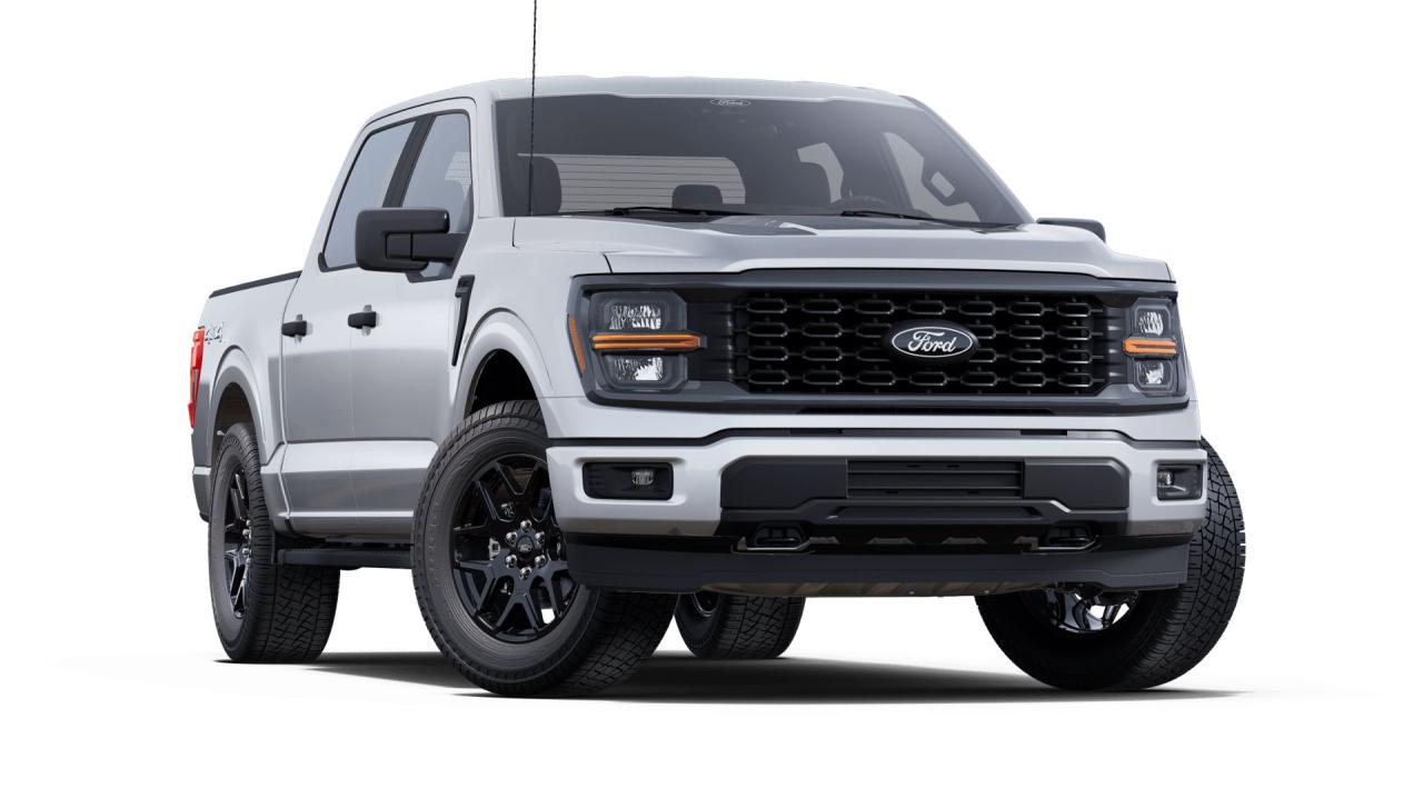 2025 Ford F-150 STX 4WD SuperCrew 5.5' Box 200A Photo