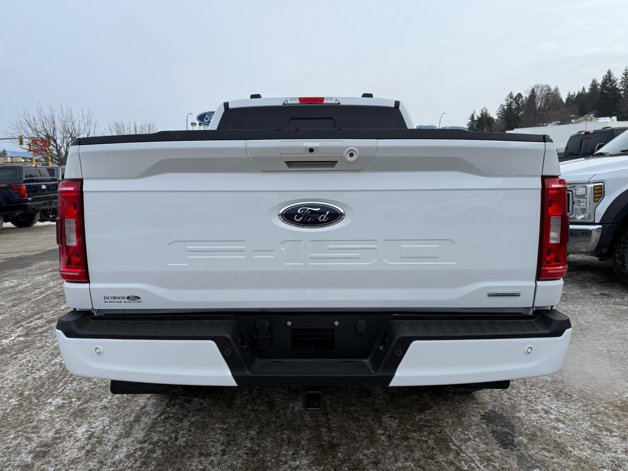 2023 Ford F-150 XLT Photo