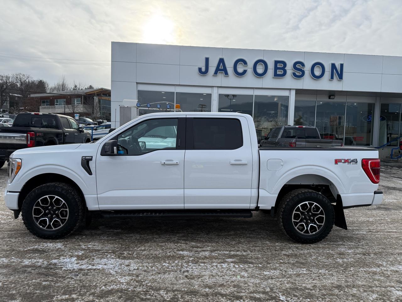 2023 Ford F-150 XLT Photo