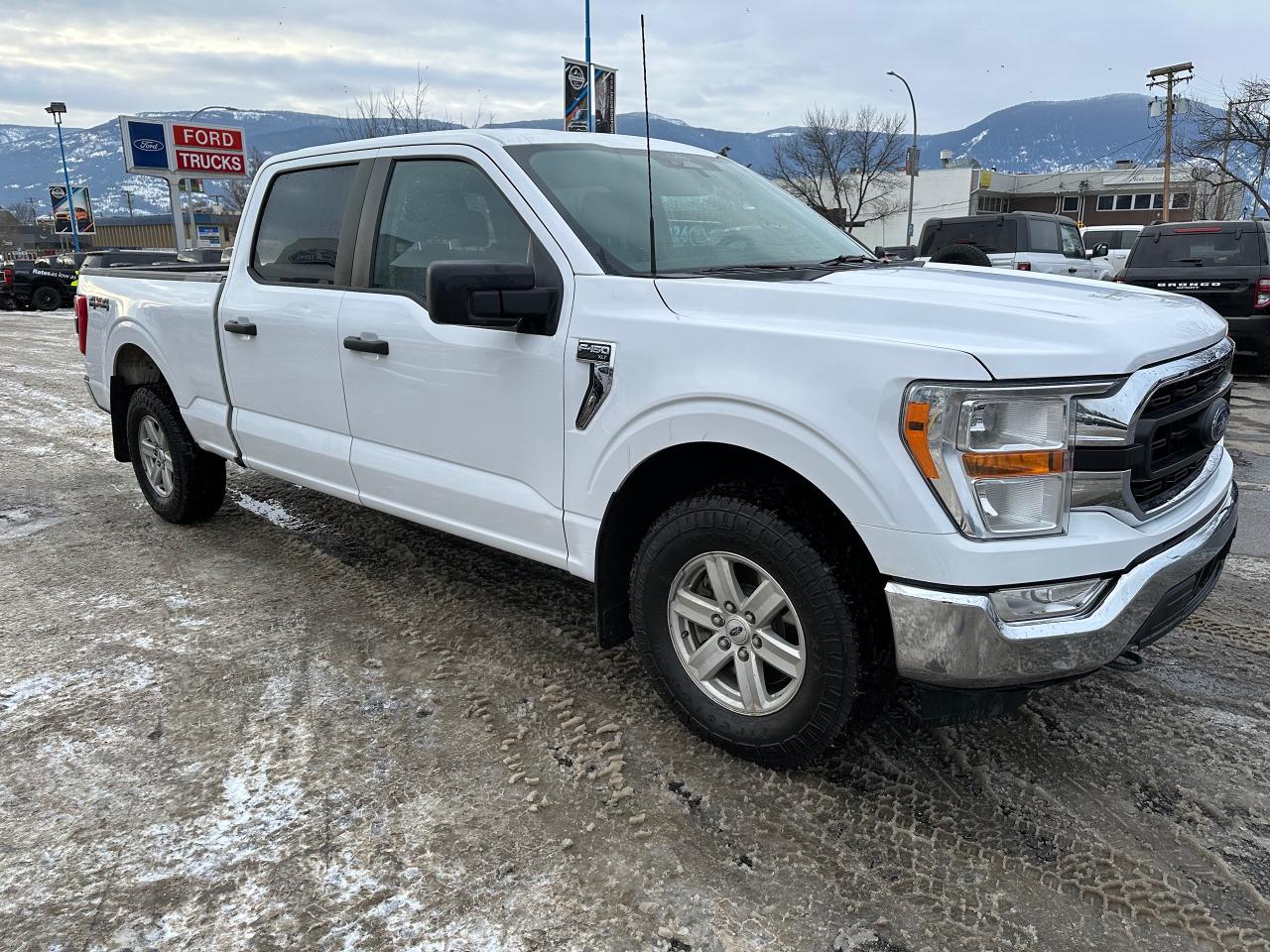 2022 Ford F-150 XLT Photo