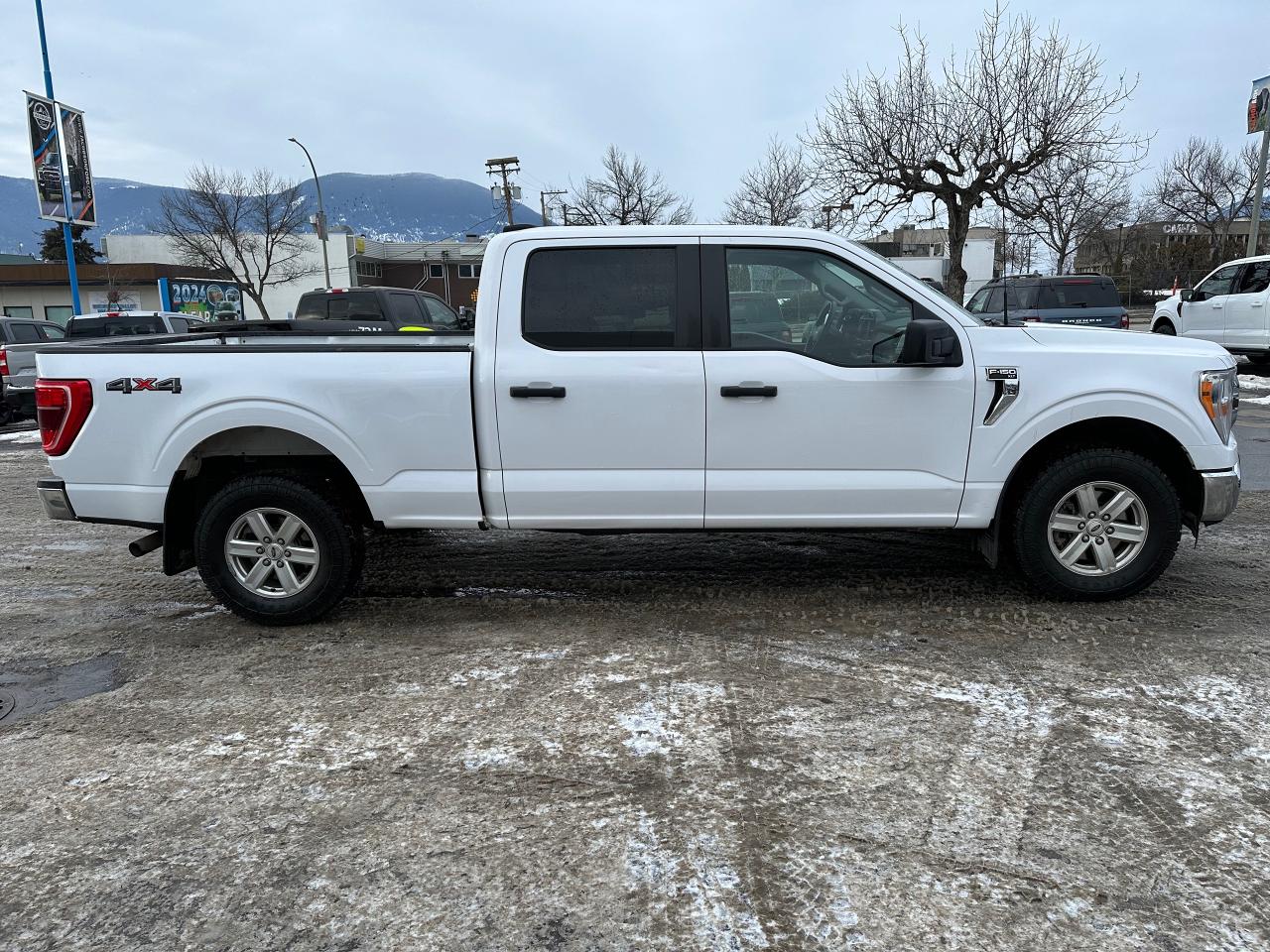 2022 Ford F-150 XLT Photo