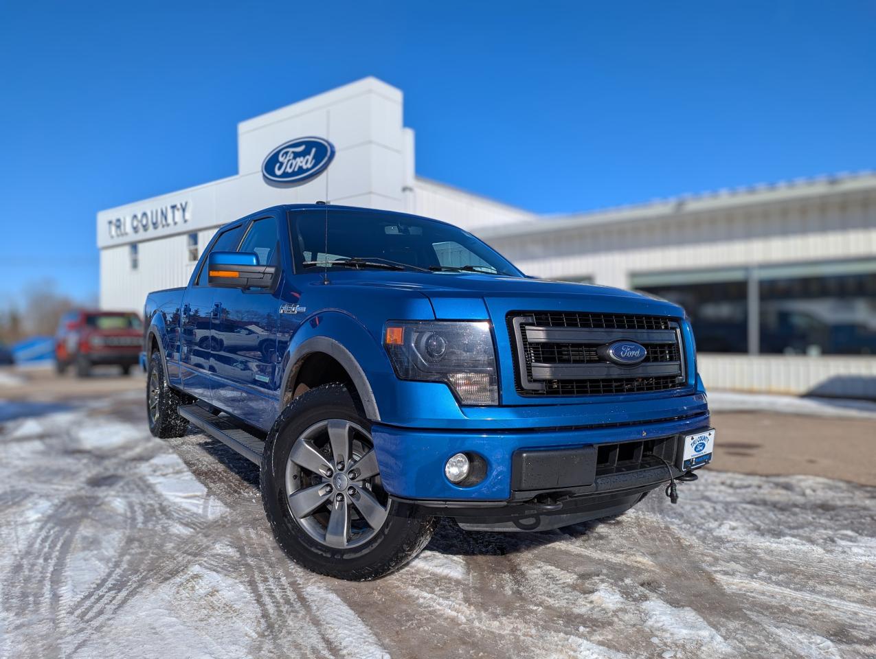 Used 2014 Ford F-150 FX4 for sale in Tatamagouche, NS