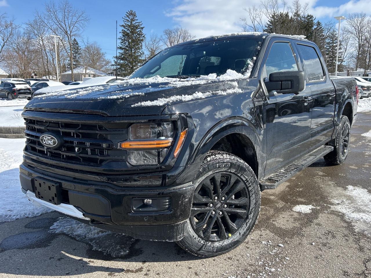 New 2025 Ford F-150 XLT  - Running Boards -  360 Camera for sale in Caledonia, ON