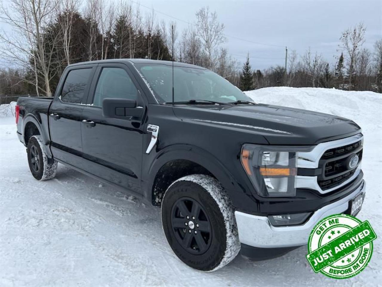 Used 2023 Ford F-150 XLT  3.5L V6 - $359 B/W for sale in Timmins, ON