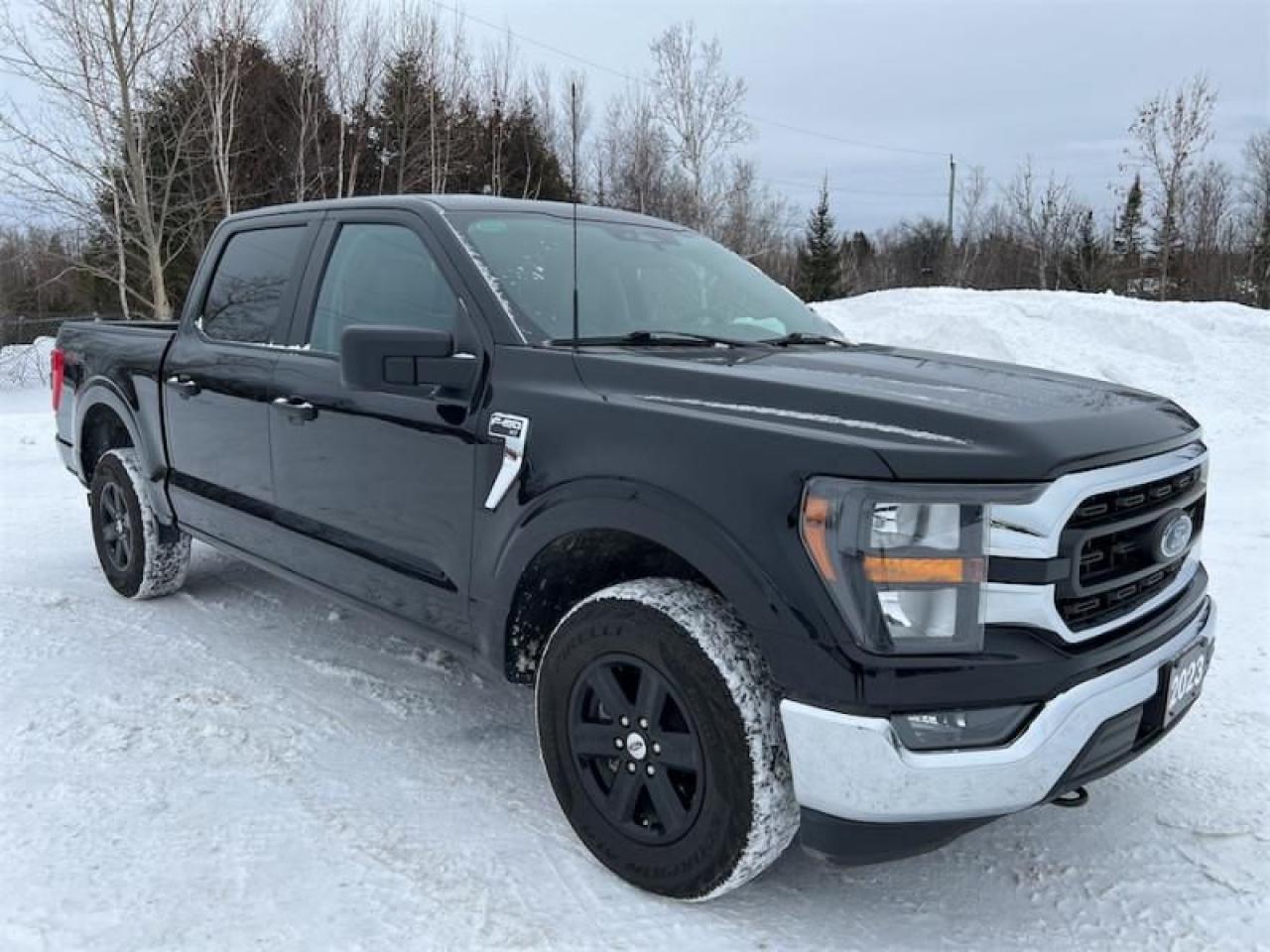 Used 2023 Ford F-150 XLT  3.5L V6 - $359 B/W for sale in Timmins, ON