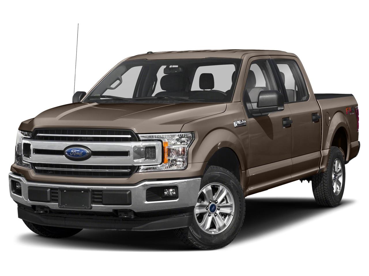 Used 2019 Ford F-150 XLT for sale in Salmon Arm, BC