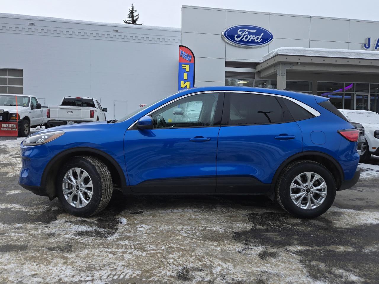 2021 Ford Escape SE Photo