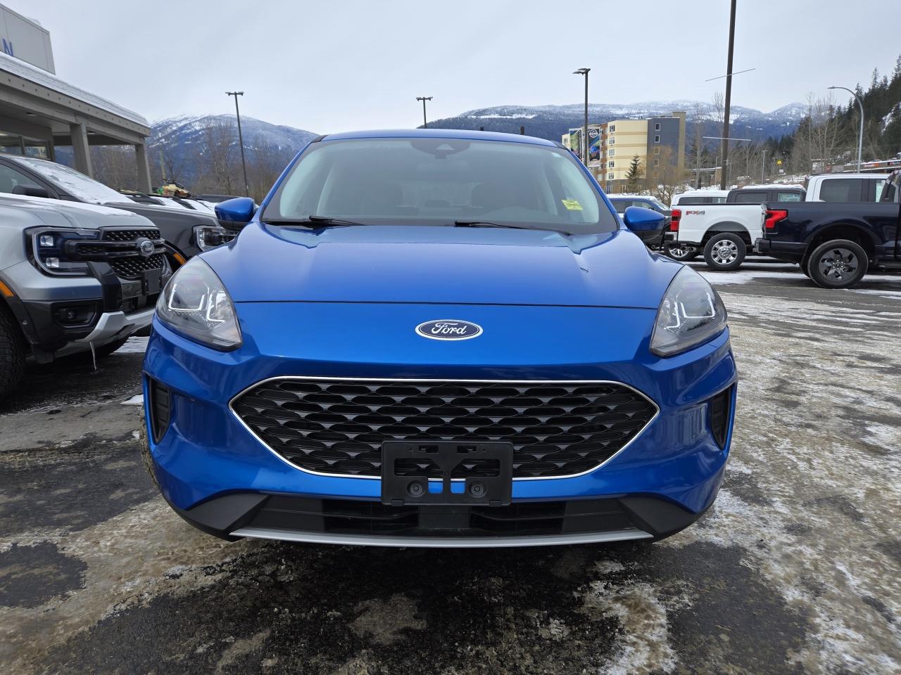 2021 Ford Escape SE Photo