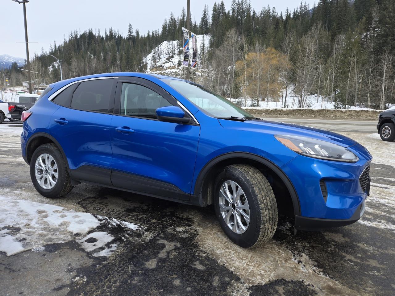 2021 Ford Escape SE Photo