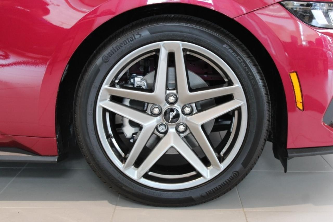 2025 Ford Mustang EcoBoost Premium Convertible Photo3