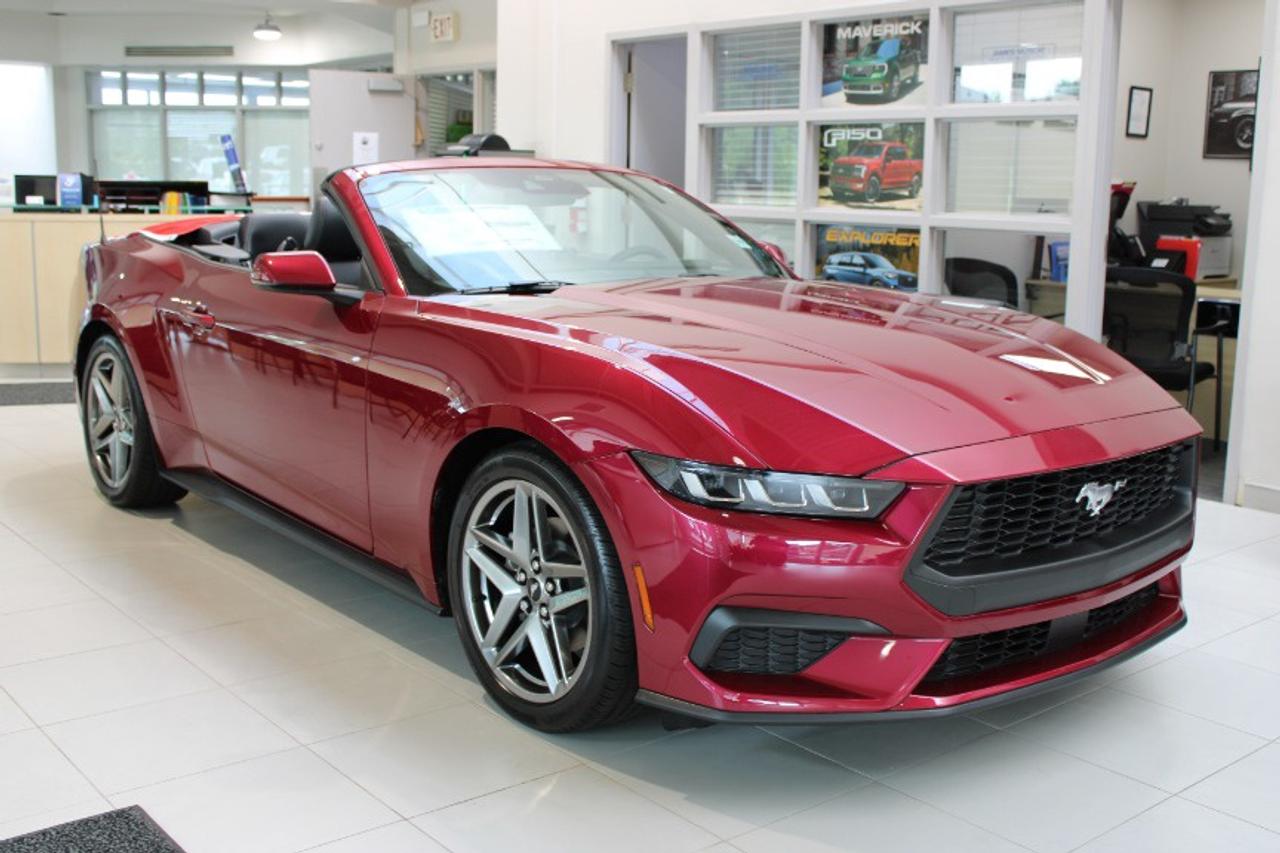 2025 Ford Mustang EcoBoost Premium Convertible Photo
