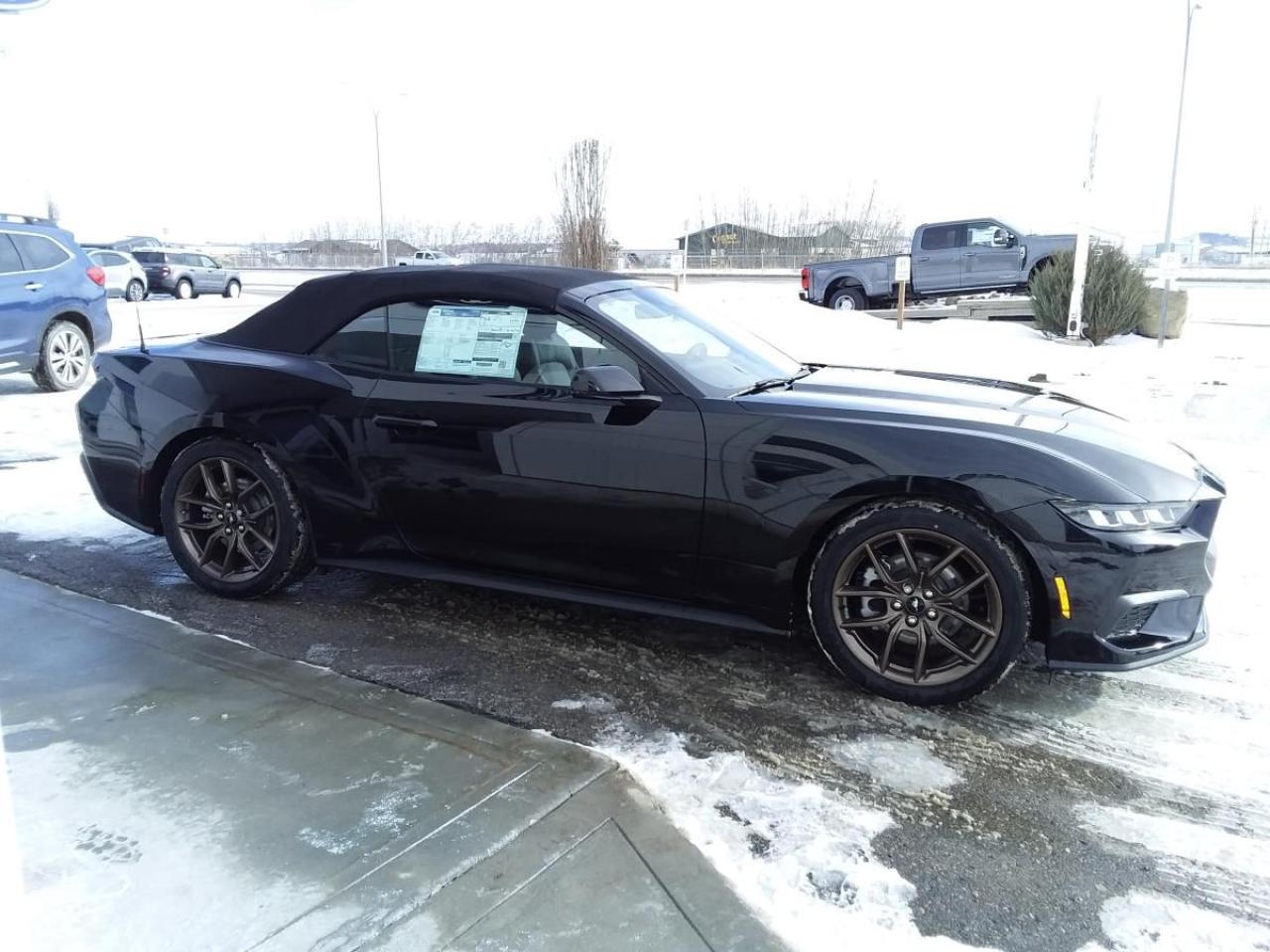 New 2025 Ford Mustang EcoBoost Premium for sale in Lacombe, AB