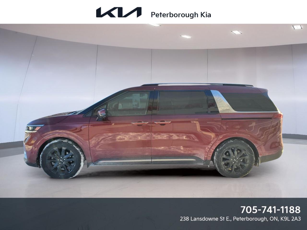 Used 2024 Kia Carnival SX TA for sale in Peterborough, ON