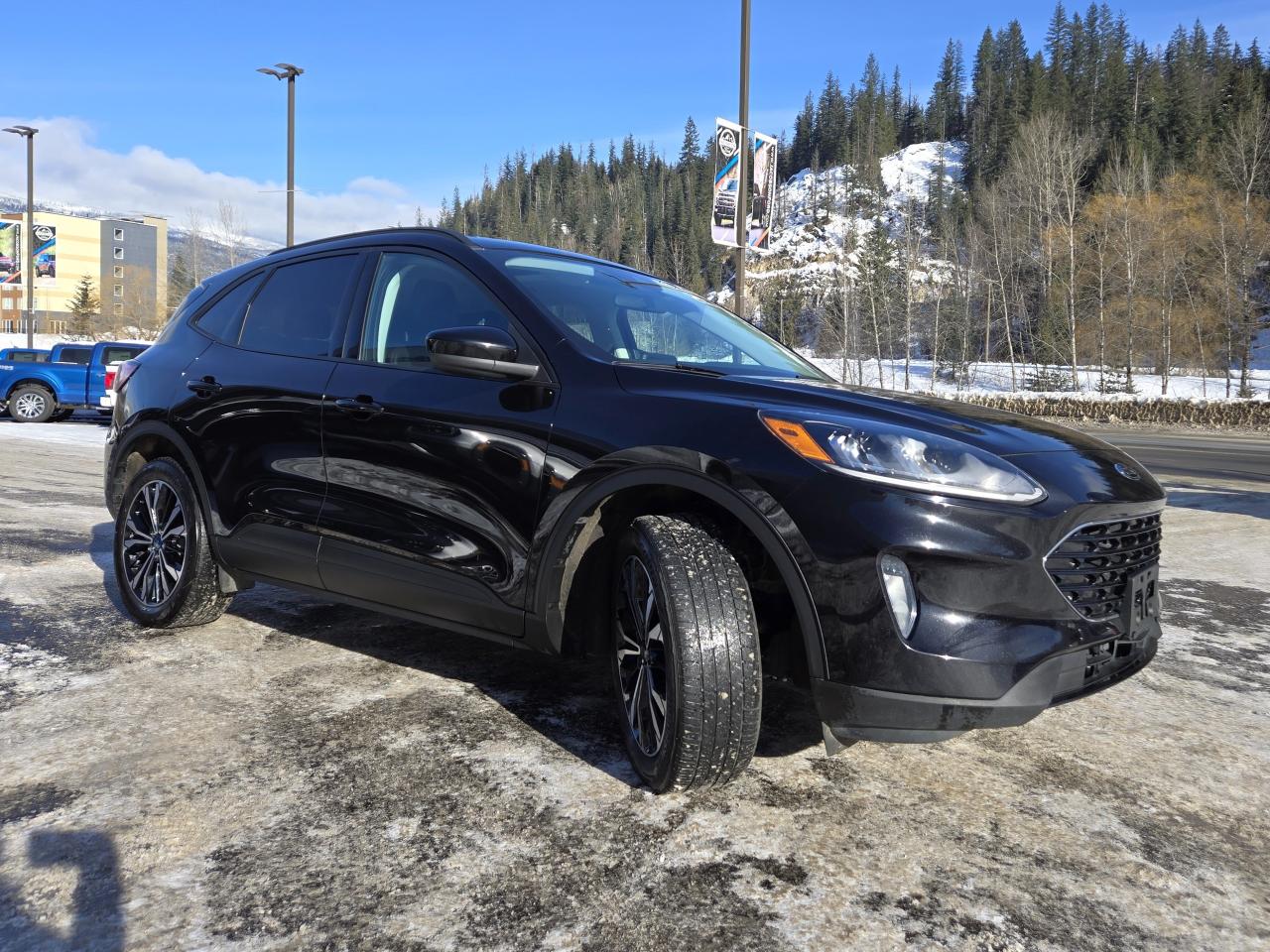 2021 Ford Escape SEL Photo