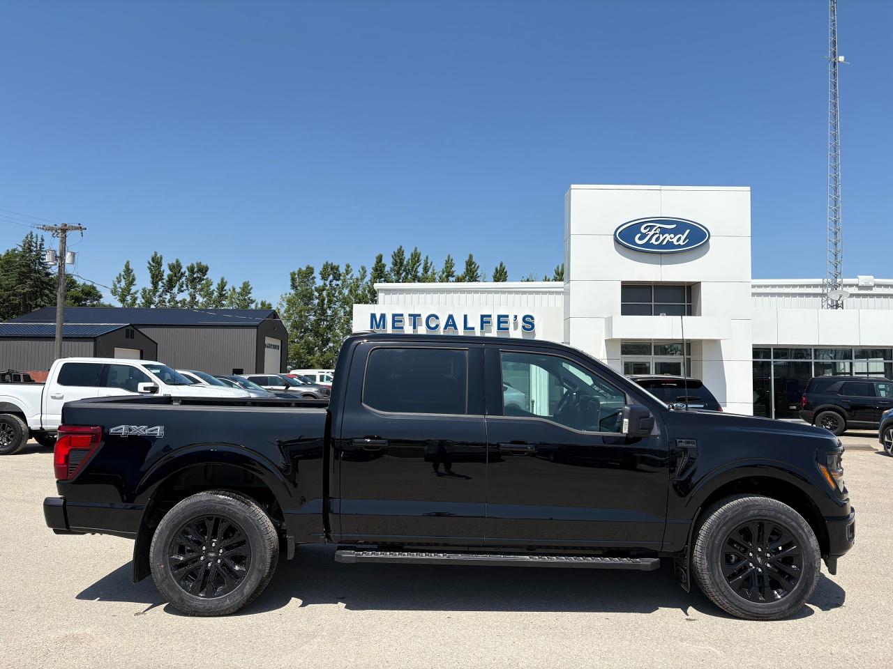 2025 Ford F-150 XLT 4WD SuperCrew 5.5' Box Photo0