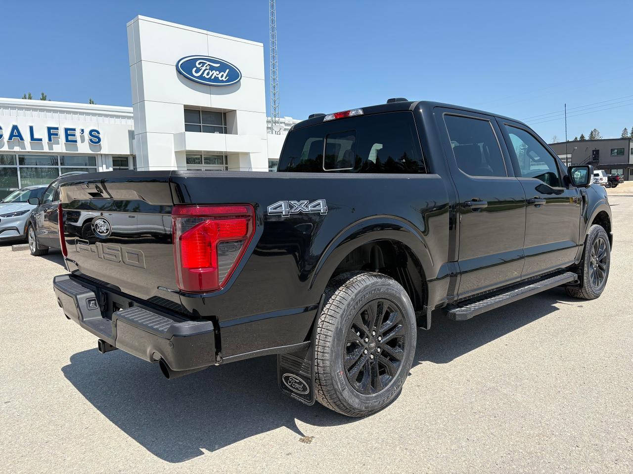 2025 Ford F-150 XLT 4WD SuperCrew 5.5' Box Photo5