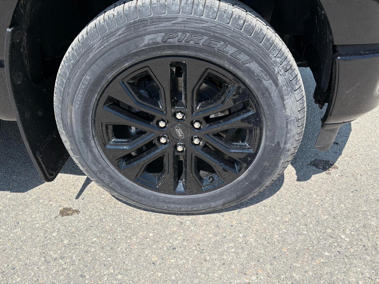 2025 Ford F-150 XLT 4WD SuperCrew 5.5' Box Photo5