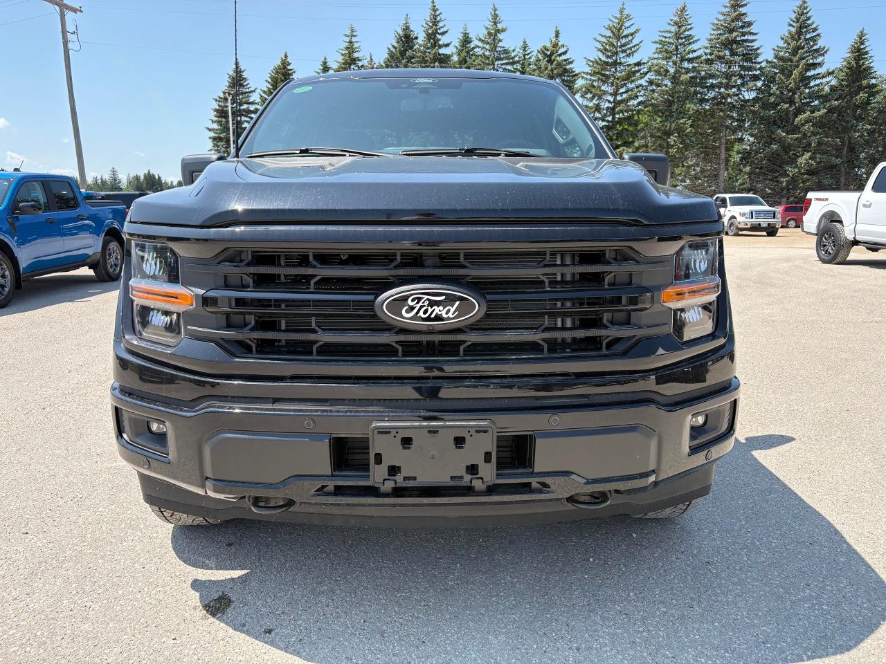 2025 Ford F-150 XLT 4WD SuperCrew 5.5' Box Photo2