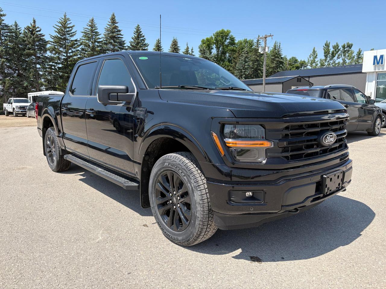 2025 Ford F-150 XLT 4WD SuperCrew 5.5' Box Photo3