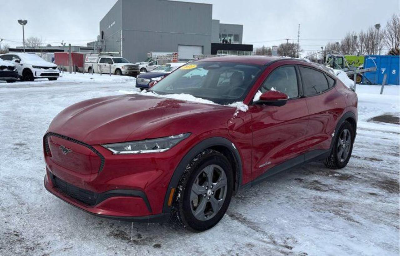 Used 2022 Ford Mustang Mach-E Select AWD | Leather | Heated Steering + Seats | Bluecruise | 360 Camera | Power Liftgate | CarPlay for sale in Guelph, ON