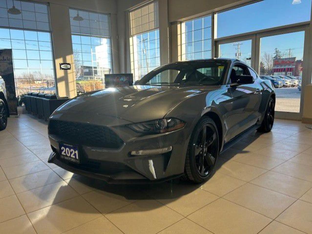 Used 2021 Ford Mustang EcoBoost haut niveau à toit fuyant for sale in Watford, ON