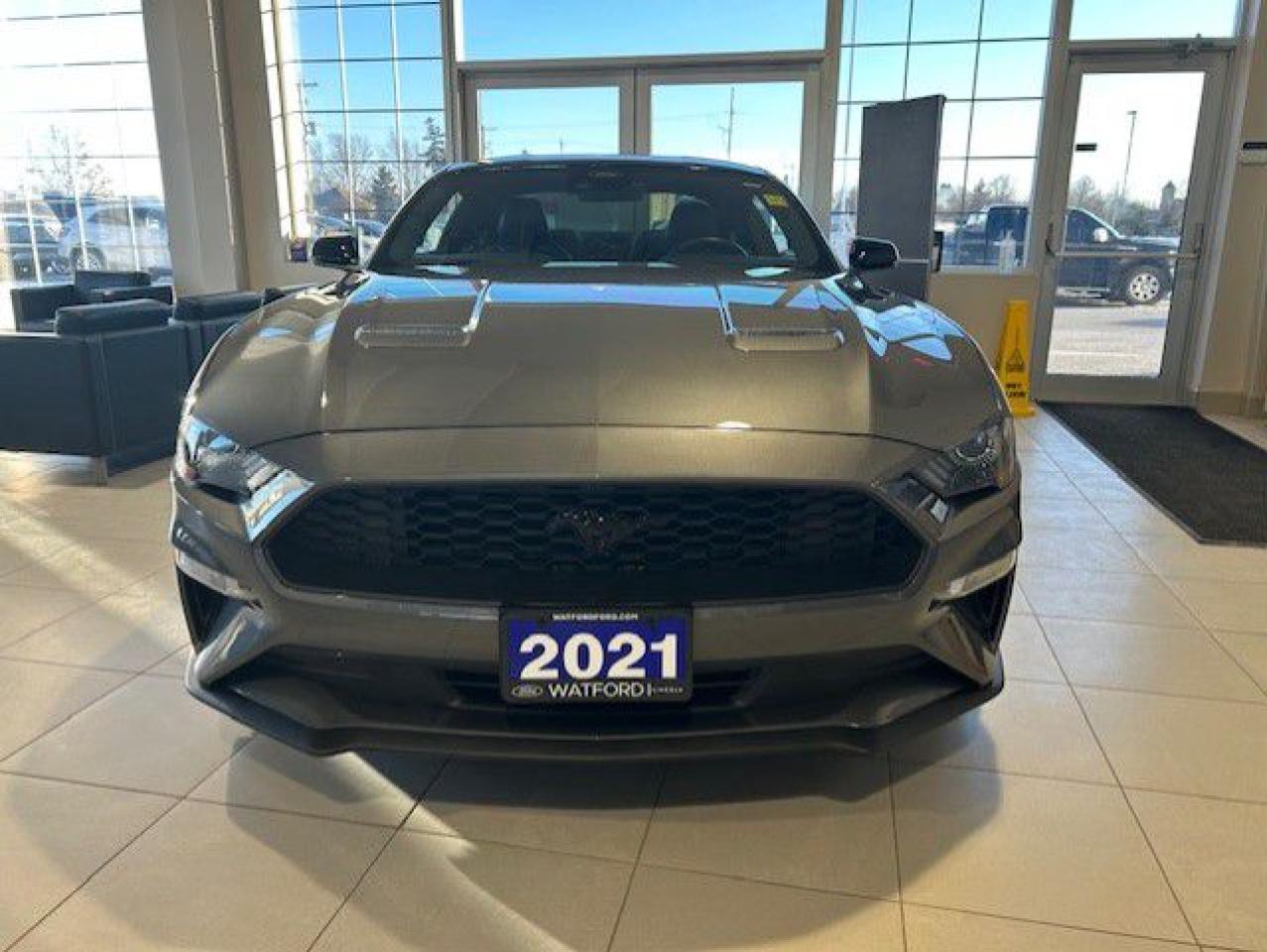 Used 2021 Ford Mustang PREM for sale in Watford, ON