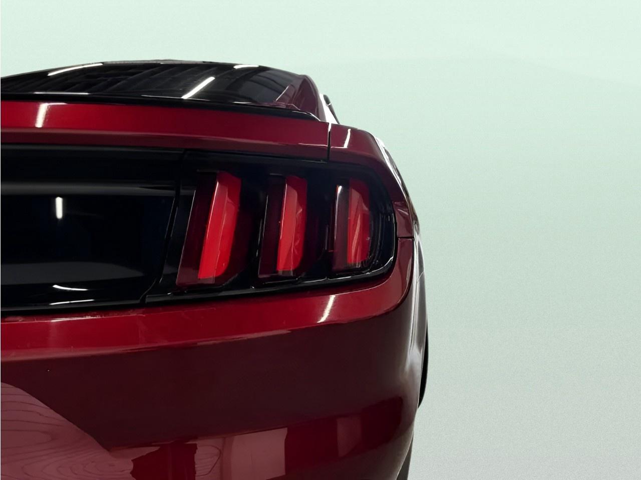 2016 Ford Mustang GT Photo
