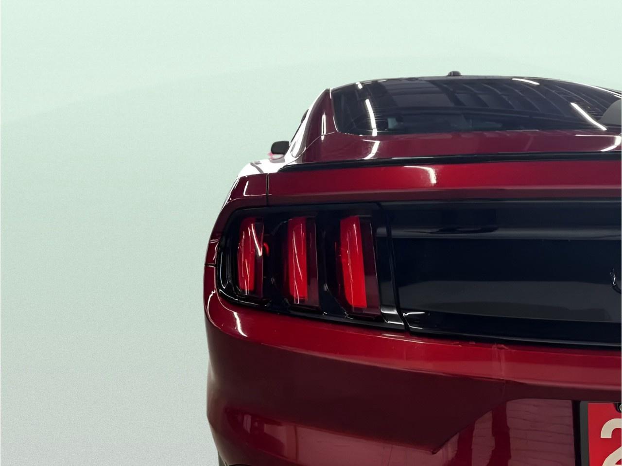 2016 Ford Mustang GT Photo