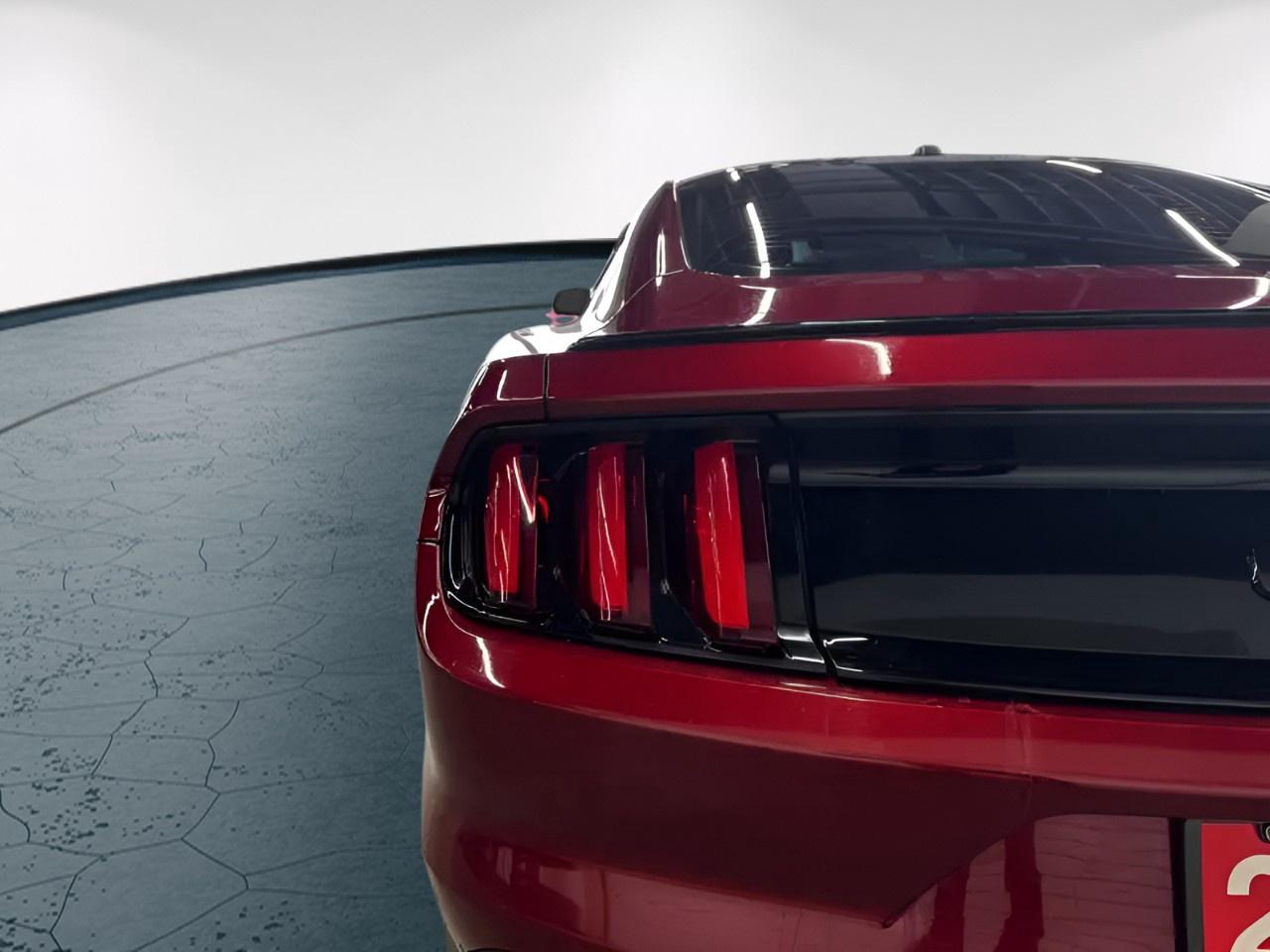 2016 Ford Mustang GT Photo