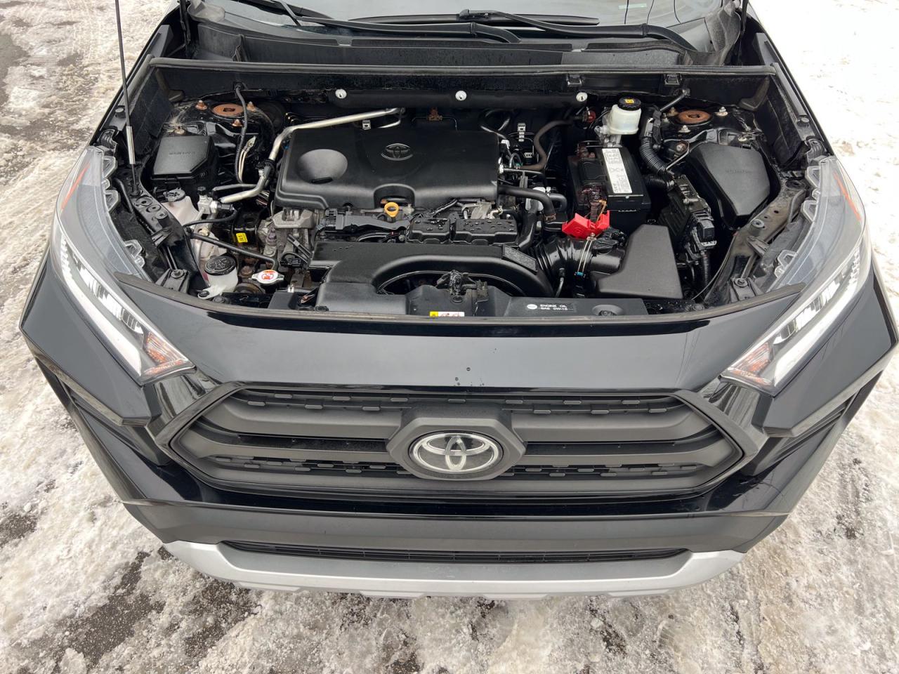 2019 Toyota RAV4 Adventure Trail AWD - Photo #6