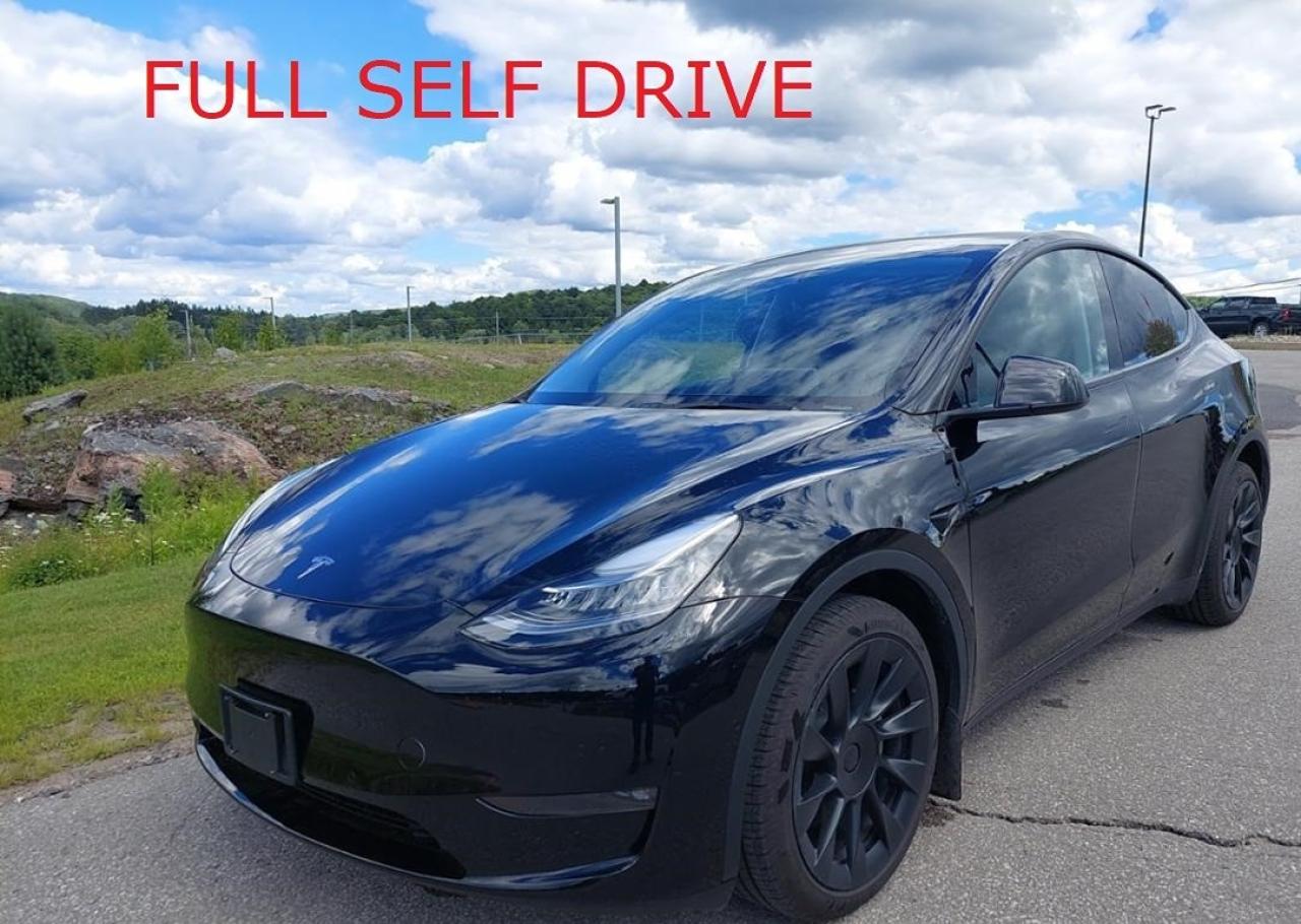 Used 2022 Tesla Model Y  for sale in Tilbury, ON