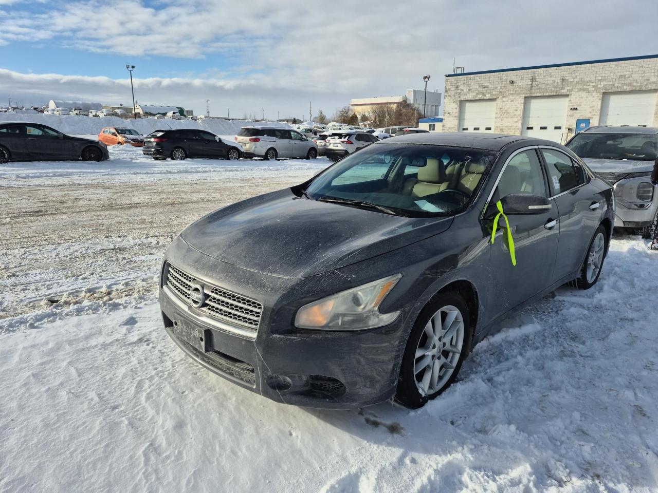 Used 2011 Nissan Maxima SV for sale in Innisfil, ON