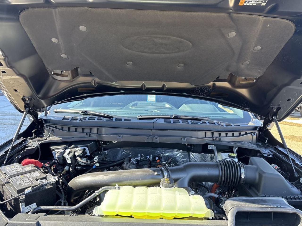 2025 Ford F-150 TREMOR 5.5' Box 401A Photo5