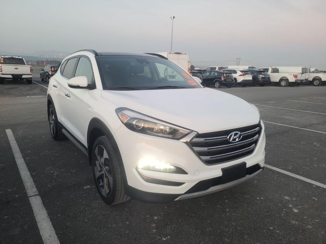 Used 2017 Hyundai Tucson Ultimate for sale in Sherwood Park, AB