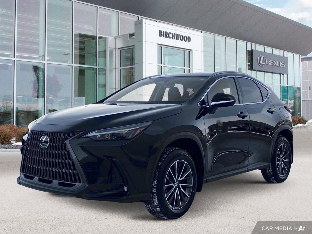 New 2025 Lexus NX 250 Signature for sale in Winnipeg, MB