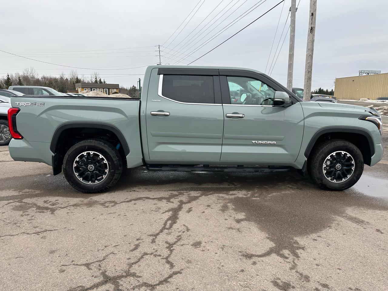 2024 Toyota Tundra TUNDRA LIMITED TRD OFF ROAD Photo