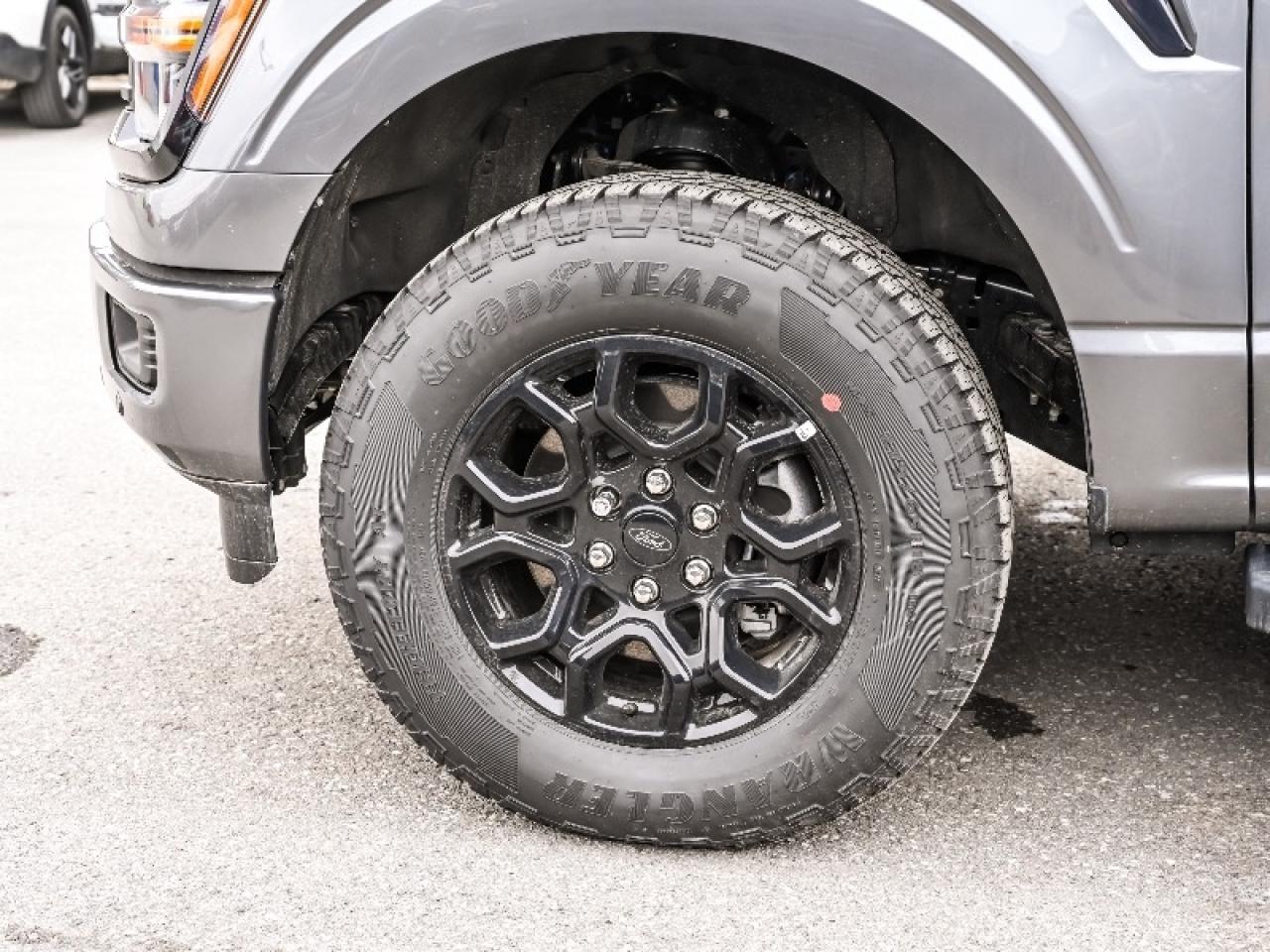 2025 Ford F-150 XLT Photo