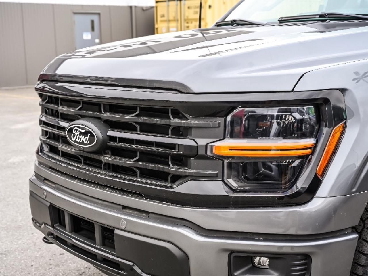 2025 Ford F-150 XLT Photo