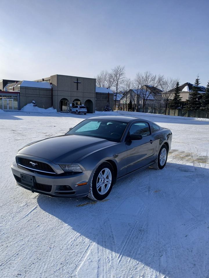 Used 2014 Ford Mustang 2dr Cpe V6 Premium for sale in Winnipeg, MB