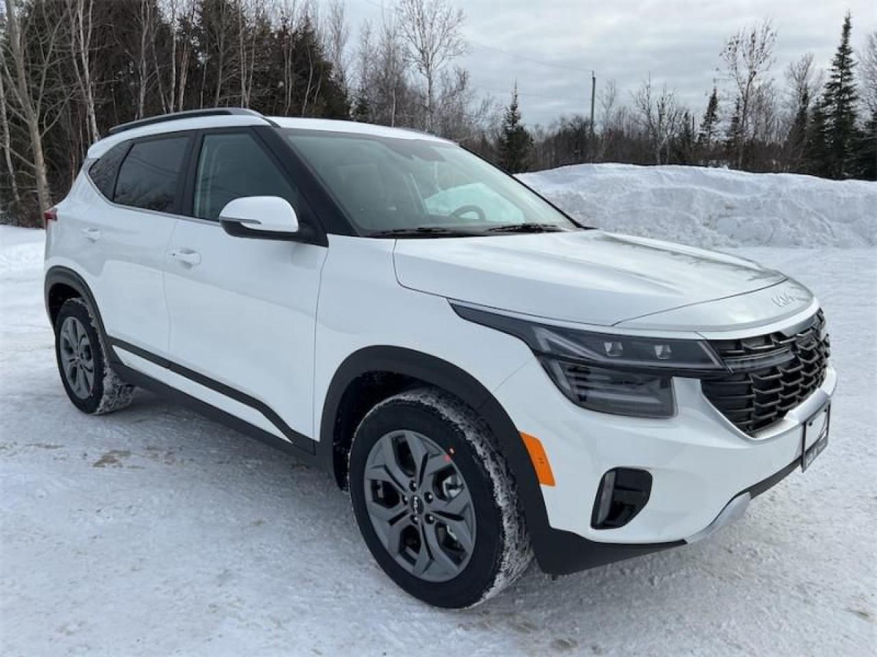 New 2025 Kia Seltos EX AWD  Remote Start for sale in Timmins, ON