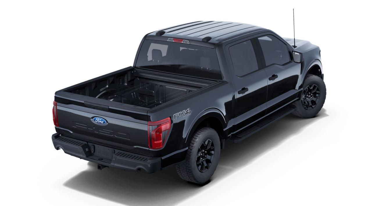 2025 Ford F-150 STX 4WD SuperCrew 5.5' Box 201A Photo