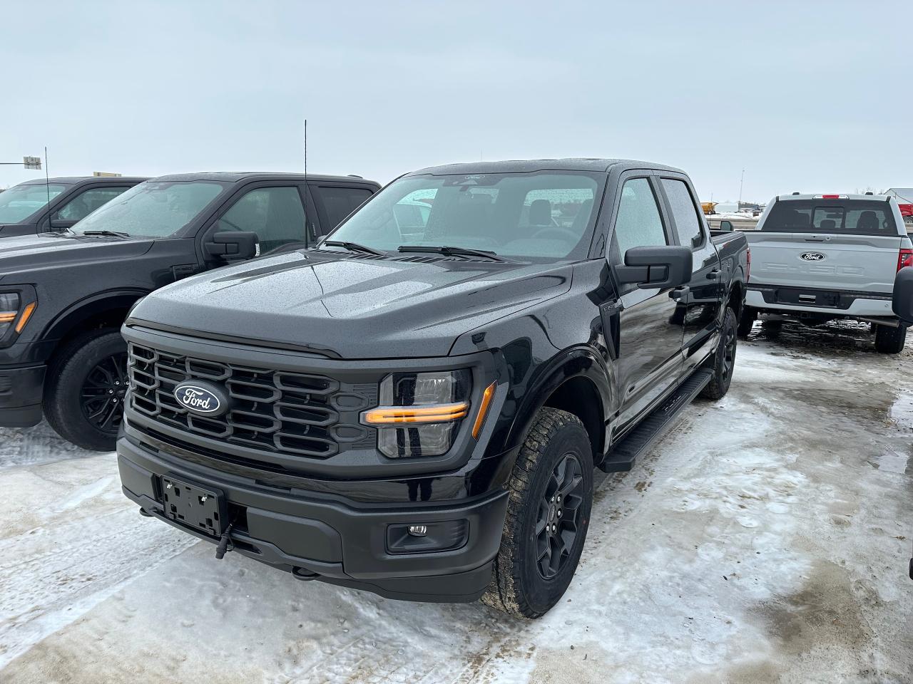 New 2025 Ford F-150 STX 4WD SUPERCREW 5.5' BOX for sale in Elie, MB