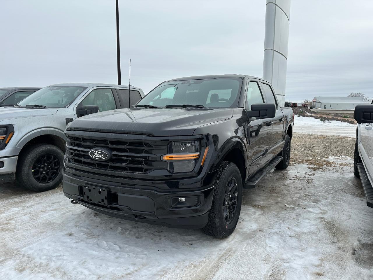 New 2025 Ford F-150 XLT 4WD SuperCrew 5.5' Box 301A for sale in Elie, MB