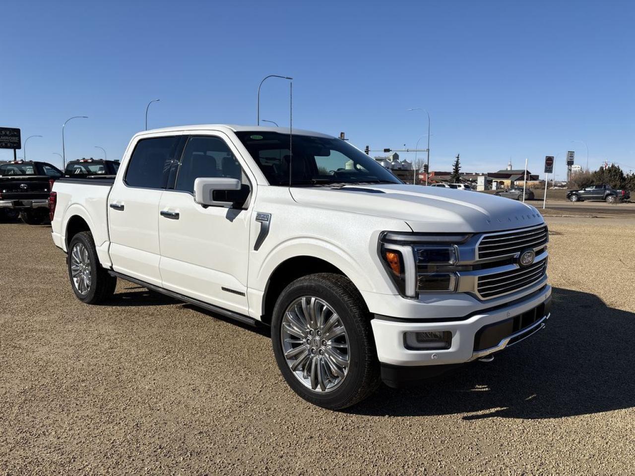 Used 2024 Ford F-150 PLATINUM for sale in Camrose, AB