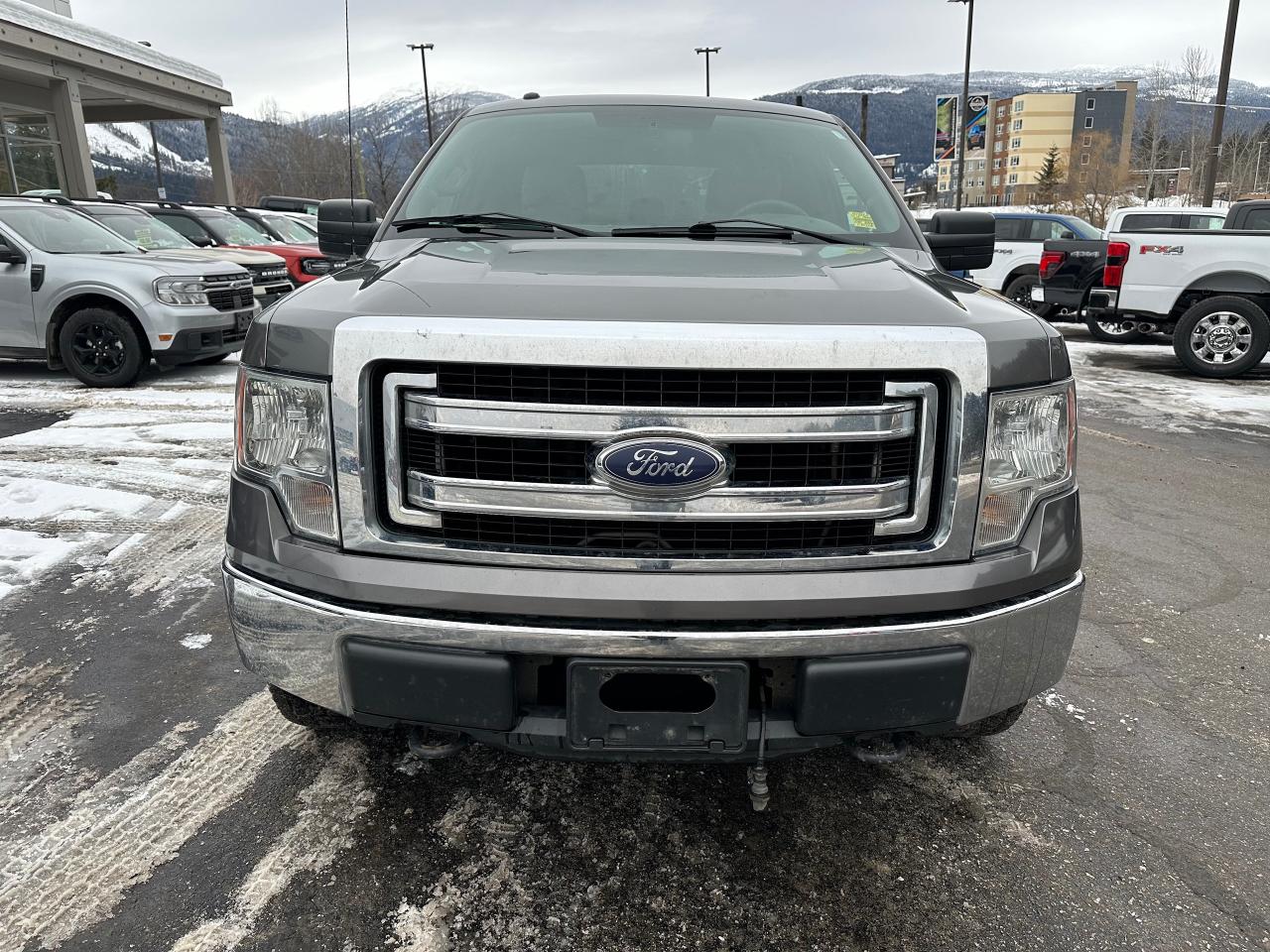 2013 Ford F-150 F150 Photo